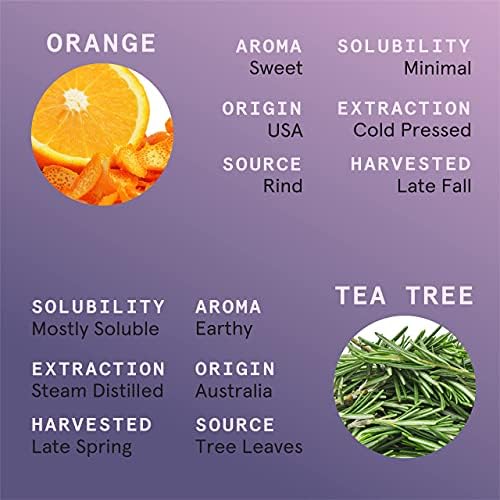 10ml Essential Oil Blend Set for Spa Diffusers - Relaxation Aromatherapy - Image 6