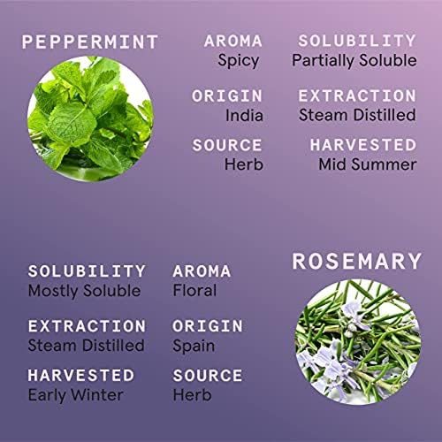 10ml Essential Oil Blend Set for Spa Diffusers - Relaxation Aromatherapy - Image 5
