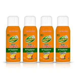 Citrus Scent Toilet Spray ? Fresh & Invigorating
