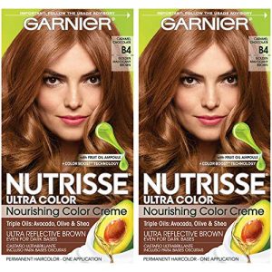 Argan Oil Rich Dark Chocolate Hair Color 4.5 oz for Luscious Locks