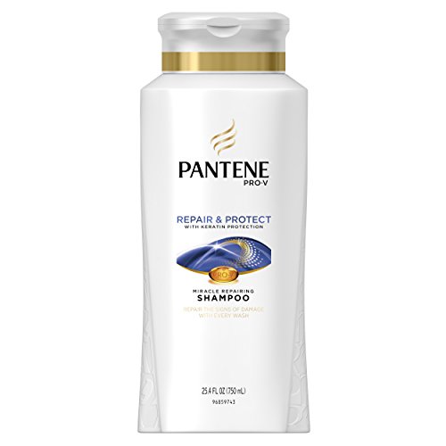750ml Argan Oil Shampoo