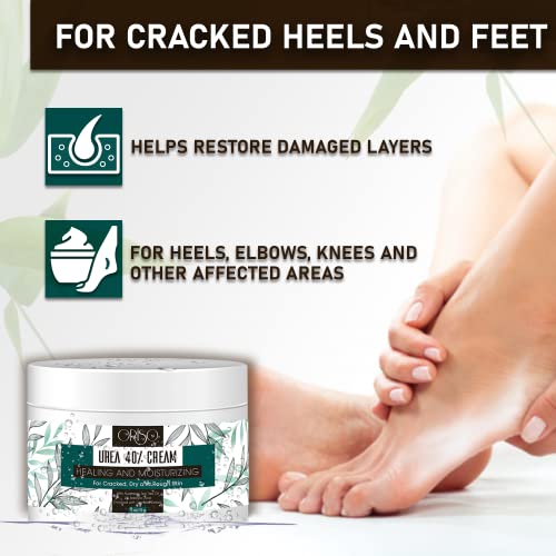 Ahava Tea Tree Oil Foot Cream 3.4 oz Moisturizes and Refreshes Tired Feet - Image 7