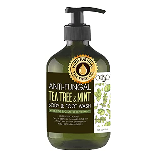 Ahava Tea Tree Oil Foot Cream 3.4 oz Moisturizes and Refreshes Tired Feet - Image 2