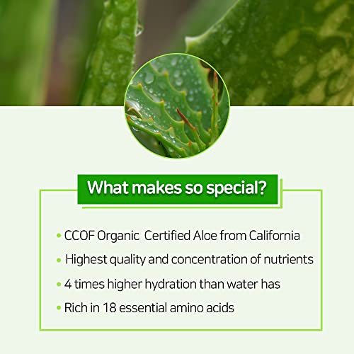 Aloe Vera Shower Gel by Nature Republic - Image 3