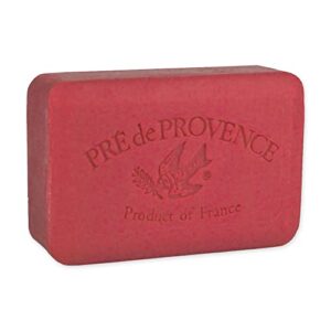 Youthful Skin Anti-Aging Raspberry Soap Bar Natural Ingredients 100g