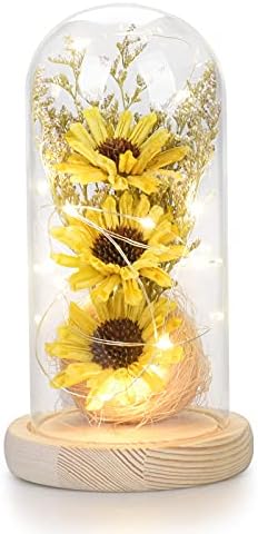 ?Arden Sunflower: Brightening and Nourishing Skincare?