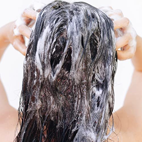 Argan & Aloe Vera Sulfate Free Shampoo - Image 7