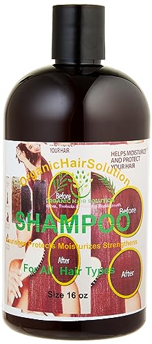 Argan Oil Dandruff Shampoo