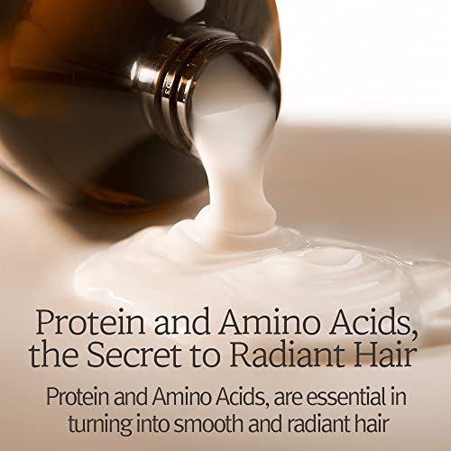 Nourishing Argan Oil Dry Conditioner for Smooth Hydrated Hair 8 oz - Image 4