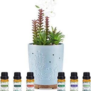 Aroma Bloom Oil Diffuser: Compact and Powerful
