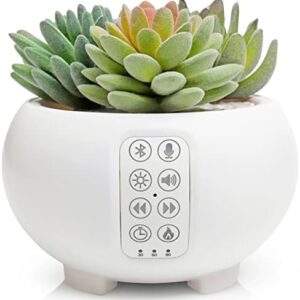 Artnaturals Baby White Noise Sound Machine & Oil Diffuser