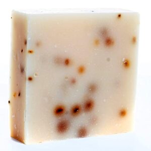 Bar Soap Wash: Convenient and Hydrating Body Cleanser