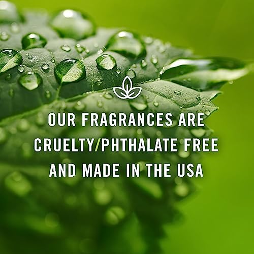 BBB 300ml Essential Oil Diffuser for Home Aromatherapy - Image 6