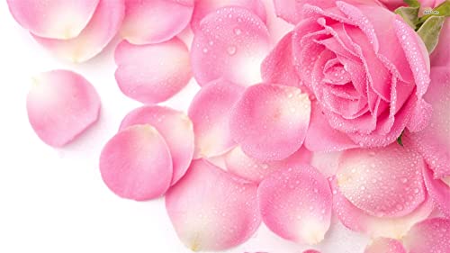 Estee Lauder Bath Oil: Luxurious and Nourishing - Image 6