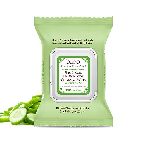 Gentle, Natural Babo Botanicals Body Wash