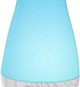 Get a Free Oil Diffuser Today