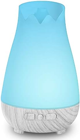 Get a Free Oil Diffuser Today