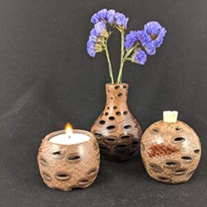 Natural Banksia Oil Diffuser: Australian-made, sustainable, and effective.