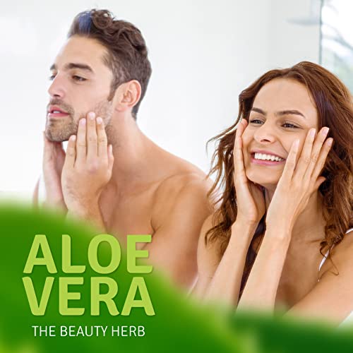 Nature Key Aloe Vera Cream for Hands & Body - Image 5