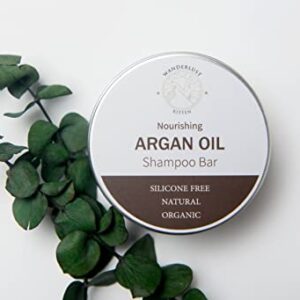 Nourishing Organic Argan Oil Shampoo for Dry, Damaged Hair 16 Fl Oz Sulfate-Free