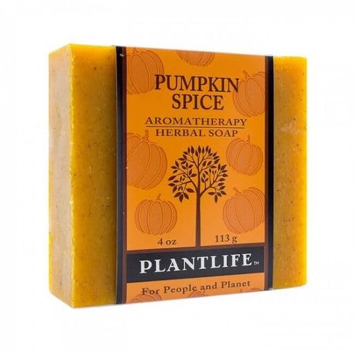 Nourishing Hydrating Pumpkin Scented Body Wash 16 oz Gentle Formula