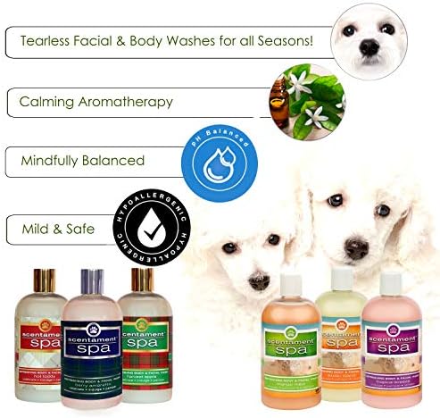 Eco-friendly shower gel with natural ingredients. - Image 2