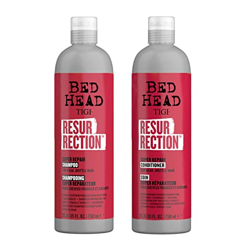 Aveda Frizz Control Product