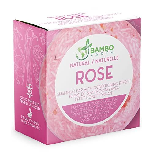 ?Ayurvedic Anti Dandruff Shampoo?