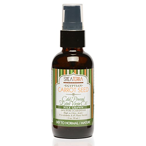 Shea Terra 100ml Carrot Seed Oil for Deep Skin Nourishment and Hydration