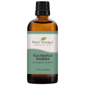 Eucalyptus Oil for Toddler?s Diffusion