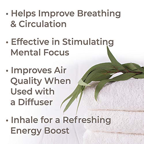 Pure Eucalyptus Essential Oil 100ml for Aromatherapy and Relaxation - Image 2