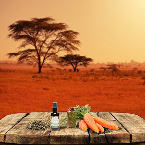 Shea Terra 100ml Carrot Seed Oil for Deep Skin Nourishment and Hydration - Image 3