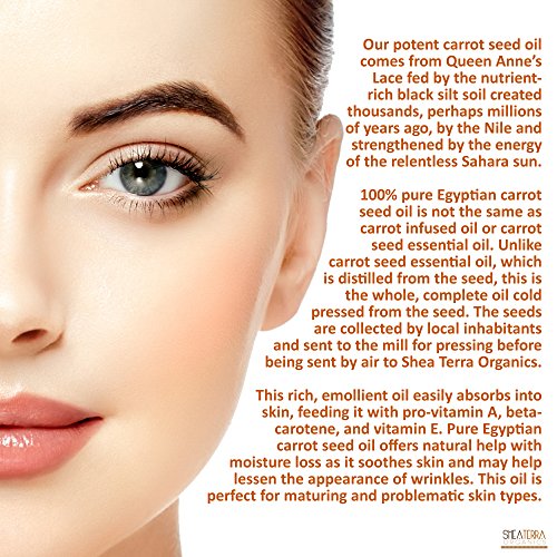 Shea Terra 100ml Carrot Seed Oil for Deep Skin Nourishment and Hydration - Image 4