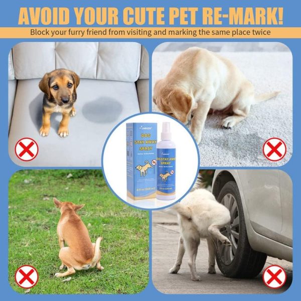 Dog Toilet Spray: Quick solution for pet waste odors. - Image 2