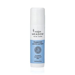?Docoshield Lip Balm: Moisturizing and Protecting Formula?