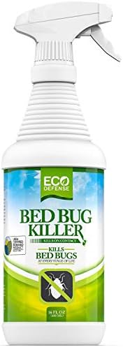Eucalyptus Oil to Eliminate Dust Mites
