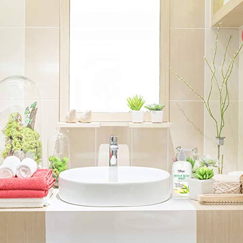 Jojoba Oil Body Wash by Crabtree And Evelyn - Image 3