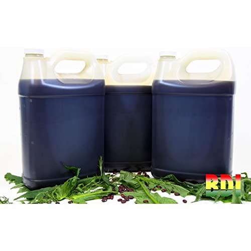 Wholesale Jamaican Black Castor Oil Supplier