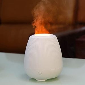 ?Essential Oil Diffuser Hazards?