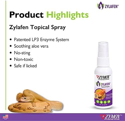 Paraben-Free Topical Steroid Cream - Image 4