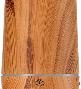 Noisy Essential Oil Diffuser