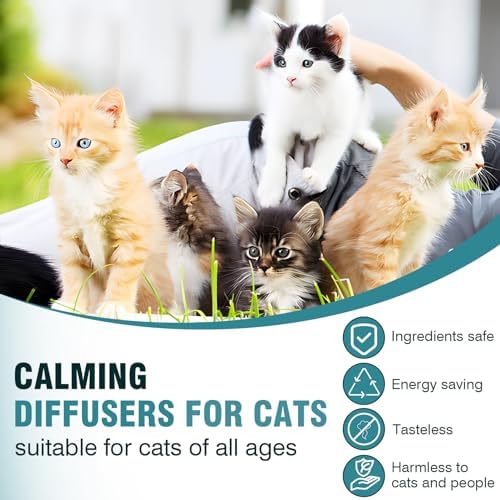 Eucalyptus Essential Oil Diffuser for Safe Cat Household Use - Image 6