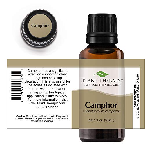 Camphor and Eucalyptus Oil with Chlorothymol - Image 6