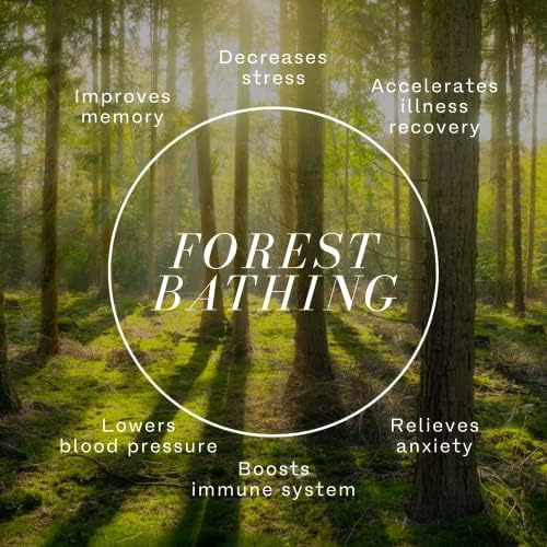 Diffuser Troubleshooting: Quick Fixes for Common Issues - Image 3