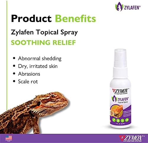 Paraben-Free Topical Steroid Cream - Image 2