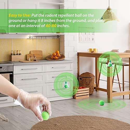 Eucalyptus Oil as a Spider Repellent - Image 6