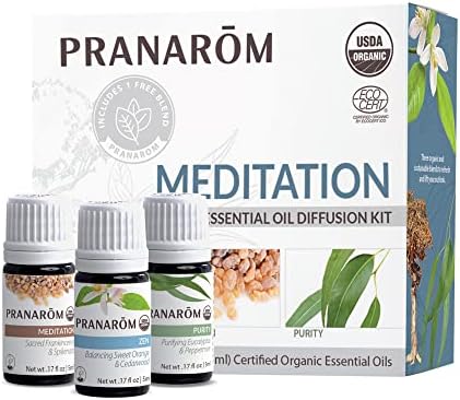 Aromatherapy Meditation Essential Oil Diffuser 300ml Capacity for Home Relaxation
