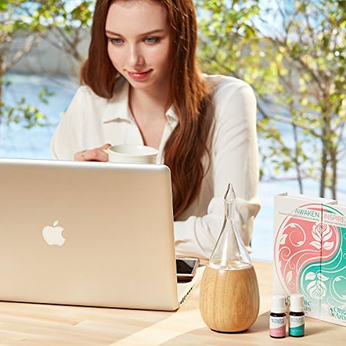 Olivetech Essential Oil Aroma Diffuser - Image 5