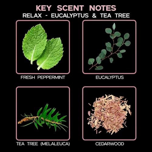 Eucalyptus Tea Tree Essential Oil Diffuser 100ml for Home Use - Image 5