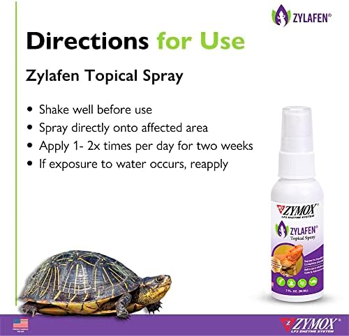 Paraben-Free Topical Steroid Cream - Image 5